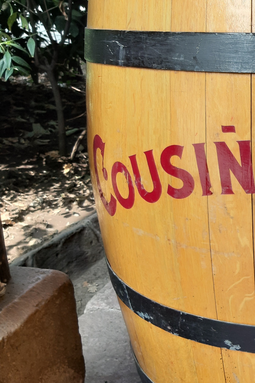 Maipo Valley: Private Full-Day Wine Tour - Experience Inclusions