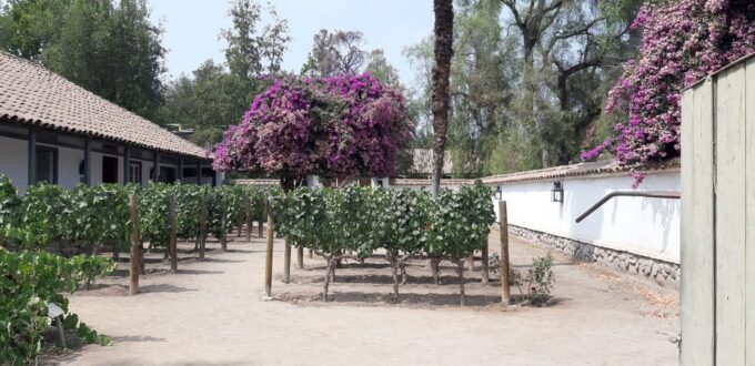 Maipo Valley: Private Full-Day Wine Tour - Frequently Asked Questions