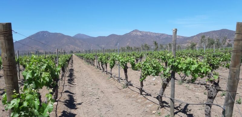Maipo Valley: Private Full-Day Wine Tour - Key Points