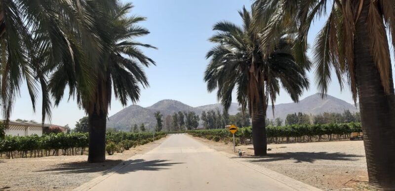 Maipo Valley: Private Full-Day Wine Tour - Experience Details
