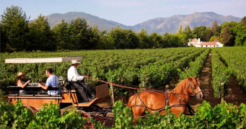 Maipo Valley: Private Full-Day Wine Tour - Preparation and Requirements