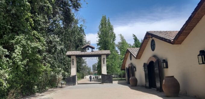 Maipo Valley: Private Full-Day Wine Tour - Customer Feedback