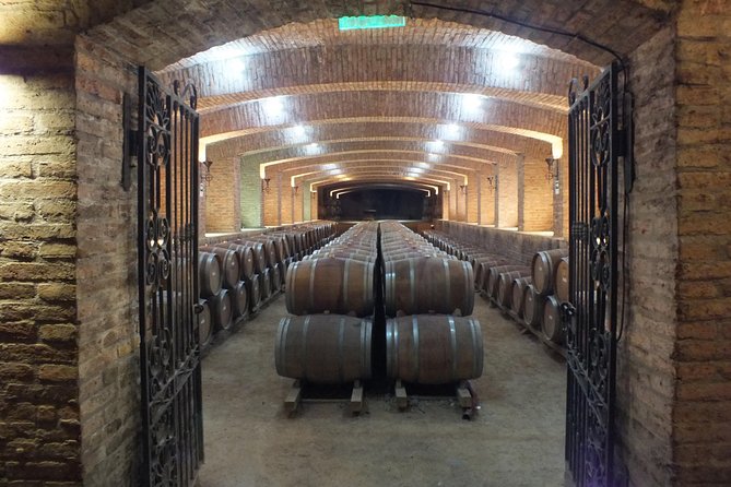Maipo Valley Wine Tour With 4 Vineyards From Santiago. - Highlights of the Tour