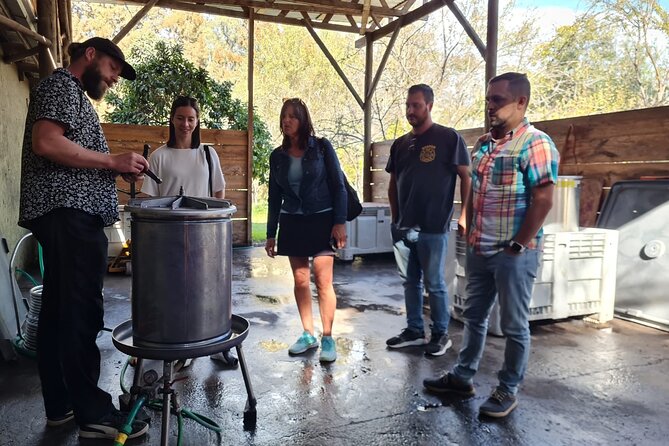 Maipo Valley Wine Tour With 4 Vineyards From Santiago. - Scenic Vineyards and Wine Tastings
