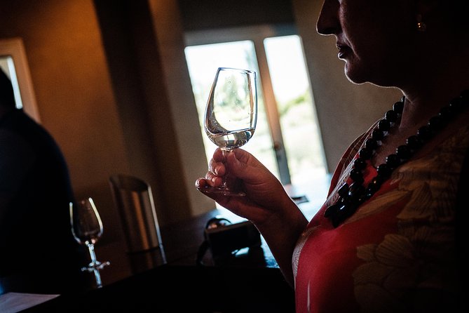 Maipú Wine-Tasting Tour From Mendoza Including Trapiche Winery - Inclusion and Logistics