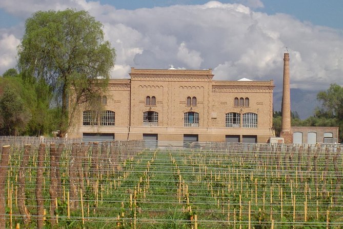 Maipú Wine-Tasting Tour From Mendoza Including Trapiche Winery - Tasting Experiences
