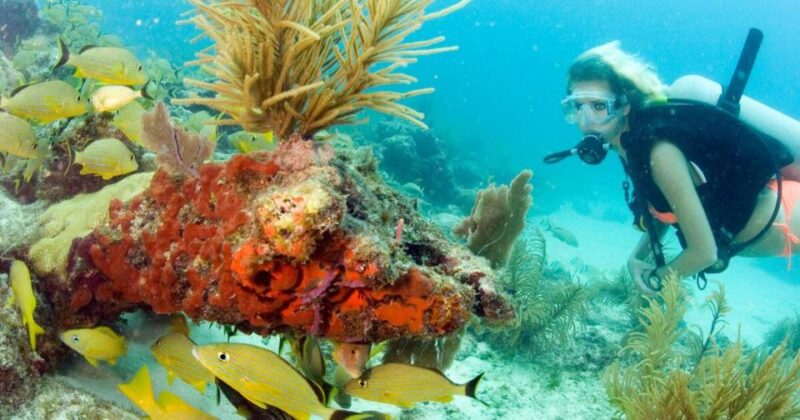 Maithon Private Island: Small Group Scuba Dive or Snorkeling - Itinerary and Activities