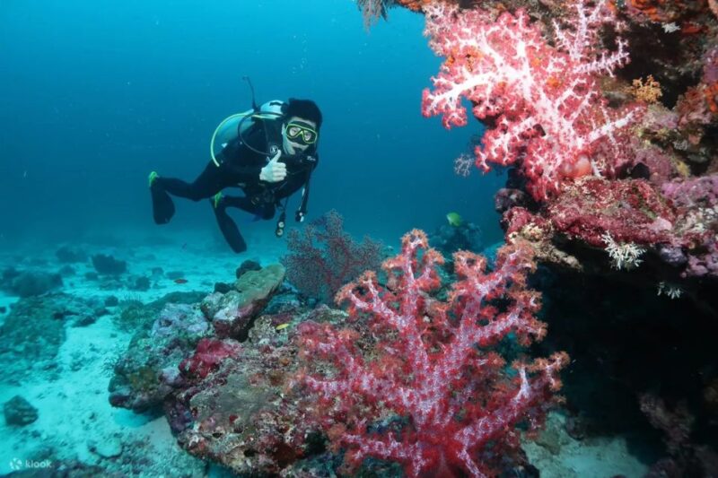 Maithon Private Island: Small Group Scuba Dive or Snorkeling - Cancellation and Payment