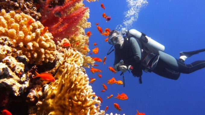 Maithon Private Island: Small Group Scuba Dive or Snorkeling - Customer Feedback