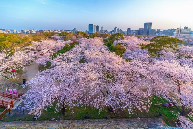 Maizuru Full-Day Private Tour With Government-Licensed Guide - Customizable Itinerary