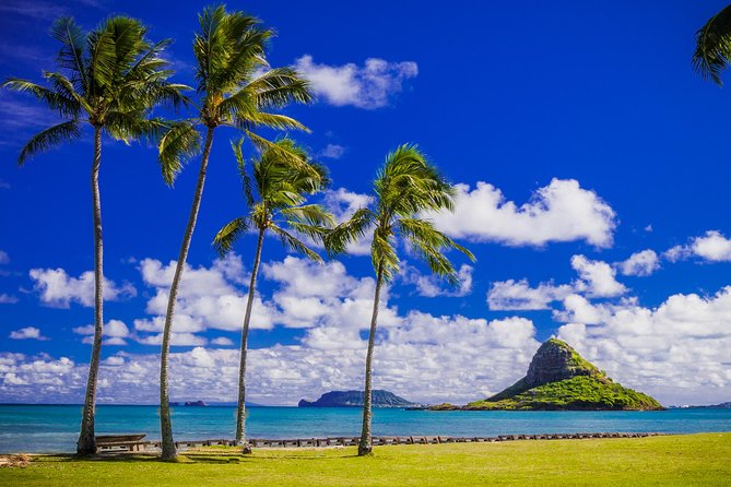 Majestic Circle Island Eco Tour From Waikiki - Additional Information