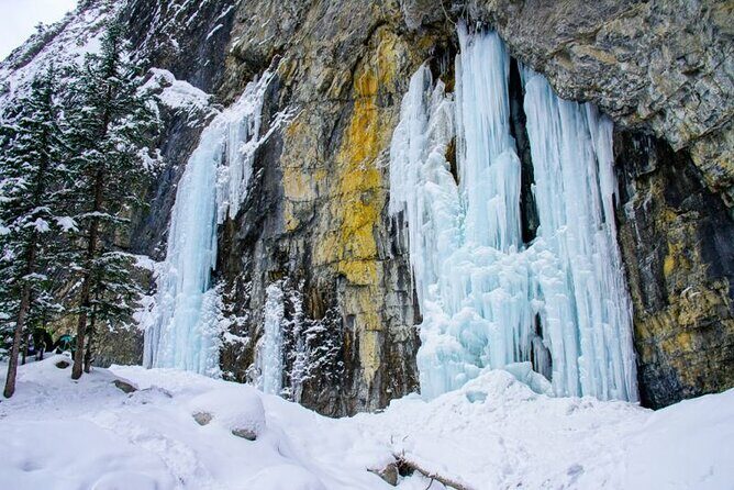 Majestic Grotto Canyon Ice Walk tour from Banff Calgary Canmore - Key Points