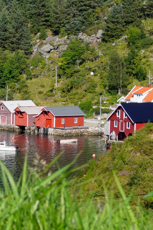 Majestic Maloy: Discover Kannesteinen & Colorful Village - Tour Highlights