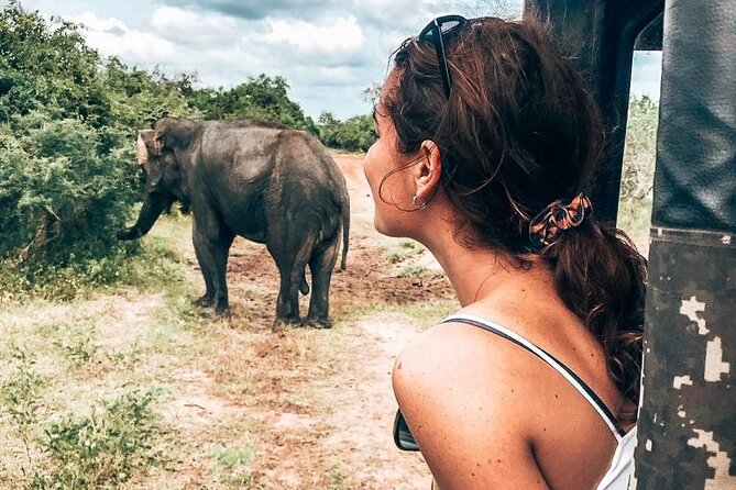 Majestic Mammals Of Sri Lanka: Whale & Elephant Safari Tour - Inclusions and Exclusions