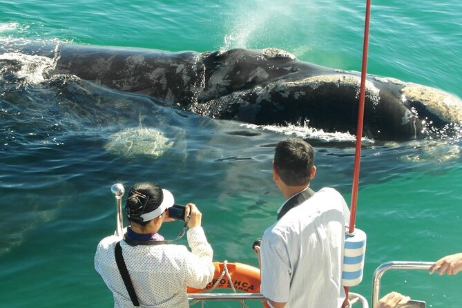 Majestic Mammals Of Sri Lanka: Whale & Elephant Safari Tour - Participation Requirements