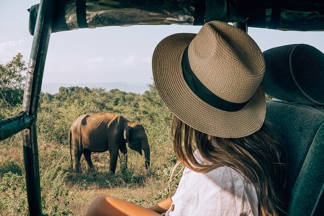 Majestic Mammals Of Sri Lanka: Whale & Elephant Safari Tour - Galle Tour Highlights
