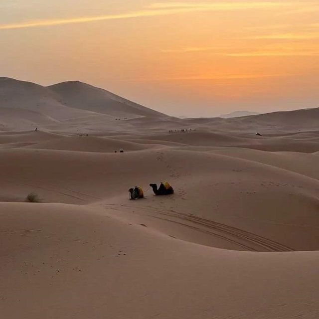 Majestic Morocco: Luxury Tour Starting From Marrakech - Flexible Booking and Cancellation Policy