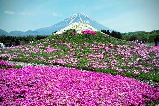 Majestic Mount Fuji: Exclusive Private Day Tour - Inclusions