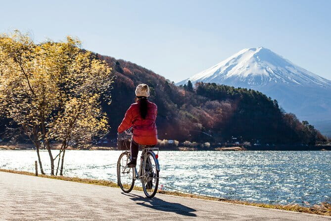 Majestic Mount Fuji: Exclusive Private Day Tour - Pickup Information