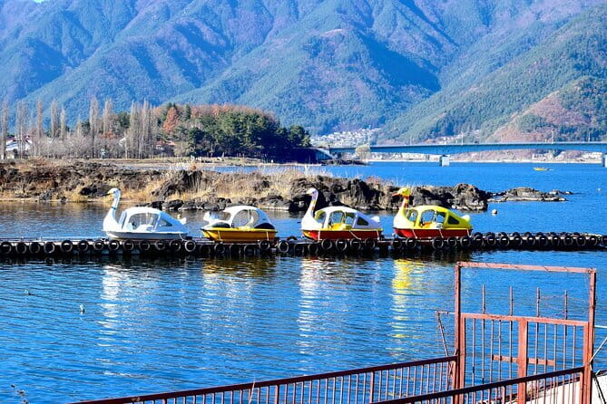 Majestic Mount Fuji: Exclusive Private Day Tour - Capturing Memories
