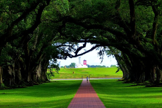 Majestic Oak Alley Plantation Tour - Tour Overview