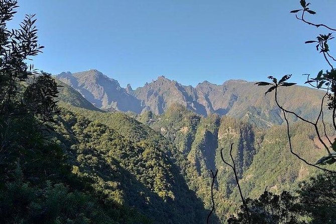 Majestic West Tour - Exploring Camara De Lobos and Estreito