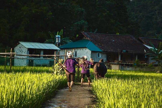 Majesty Of Untouched Northern Vietnam Tour 6 Days - Transportation and Accessibility