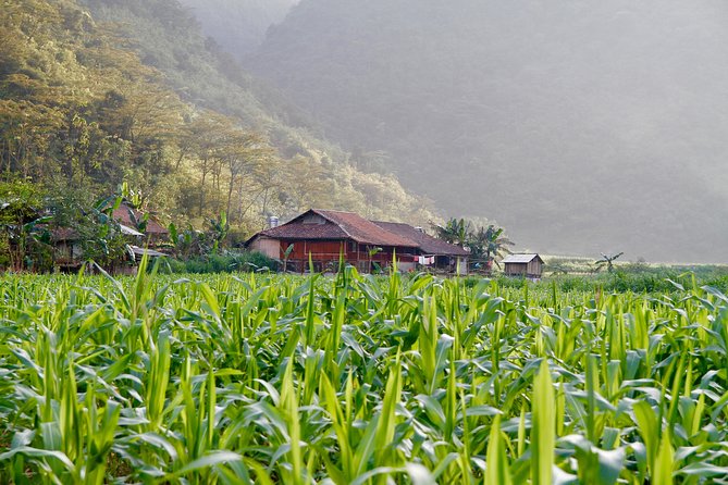 Majesty Of Untouched Northern Vietnam Tour 6 Days - Local Tribal Village Visits
