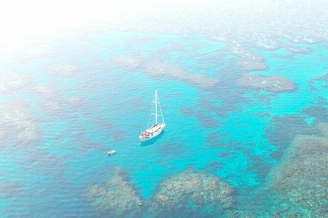 Major Tom -Sailing Day Cruise, with Snorkeling, Lunch & More! - What Travelers Say