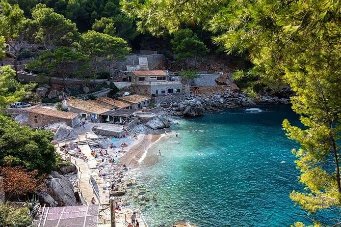 Majorca Island Full Day Tour - Key Points