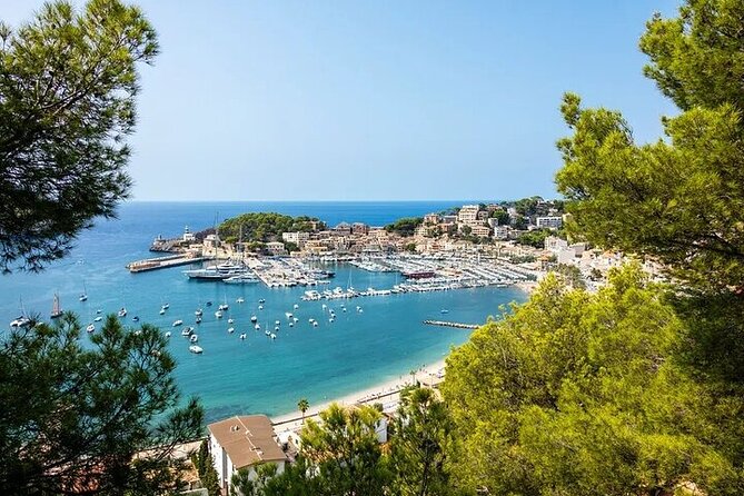 Majorca Island Full Day Tour - Pickup Details