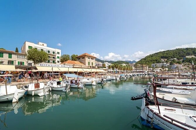 Majorca Island Full Day Tour - Recap