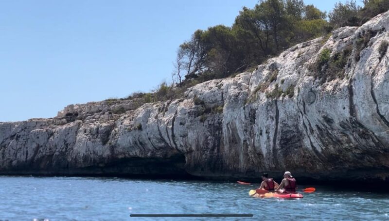 Majorca: Kayak and Paddle Surf Excursion in Crystal Clear Water Coves - Key Points