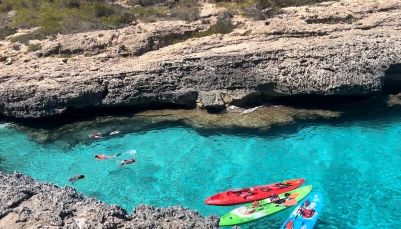 Majorca: Kayak and Paddle Surf Excursion in Crystal Clear Water Coves - Itinerary Highlights