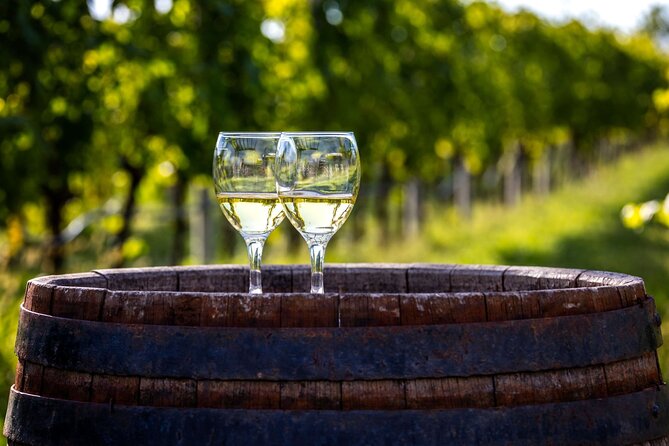 Majorca Winery Visit With Wine & Local Food Tasting From East - Accessibility and Participation