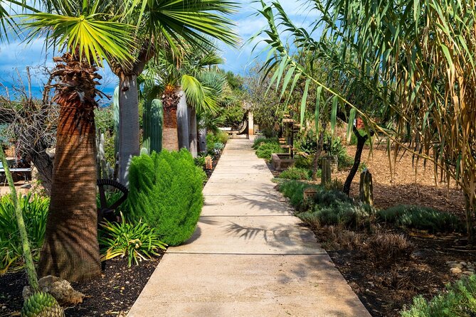 Majorca Winery Visit With Wine & Local Food Tasting From East - Cancellation Policy