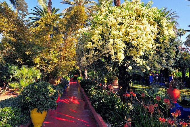Majorel Garden Experience: Ticket and Hassle-Free Transfer - Overview and Experience Details