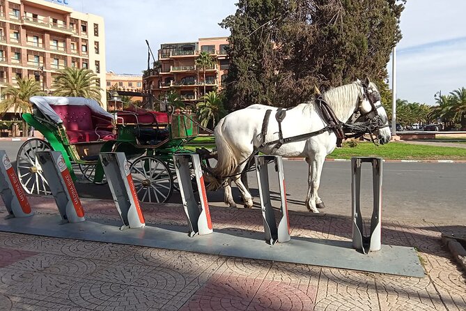 Majorelle-Menara Garden & the Yves Saint Laurent Museum Horse Carriage Tours - Booking Information