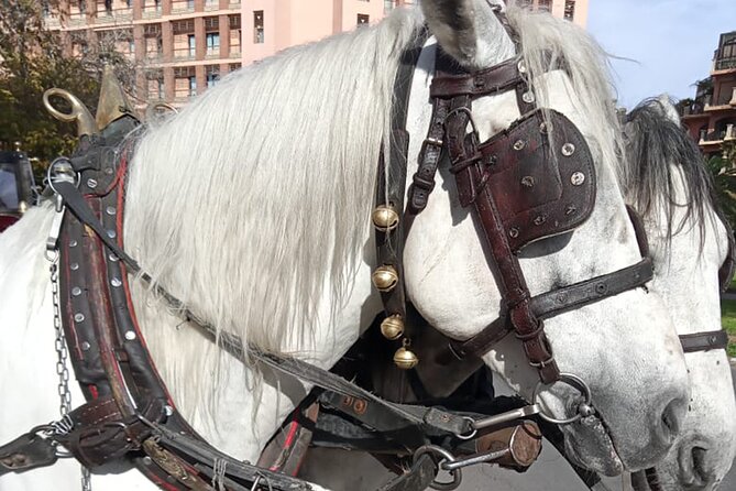 Majorelle-Menara Garden & the Yves Saint Laurent Museum Horse Carriage Tours - Questions About Your Stay