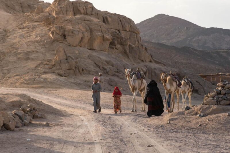 Makadi Bay: Desert Stargazing Adventure by Jeep With Dinner - Customer Feedback