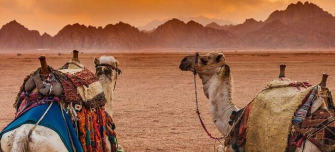 Makadi Bay: Desert Stargazing Adventure by Jeep With Dinner - Frequently Asked Questions