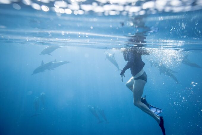 Makadi Bay: Dolphin Watching Boat Tour W/ Private Transfers - Pricing and Savings