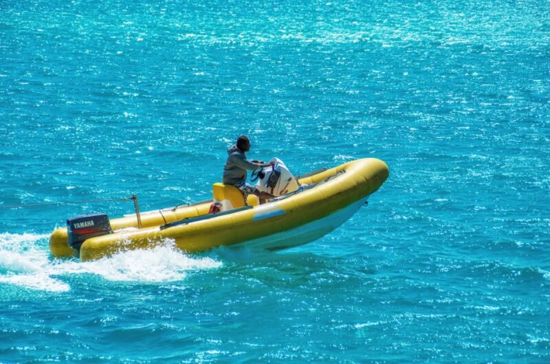 Makadi Bay: Dolphin Watching Boat Tour With Lunch & Drinks - Experience Highlights