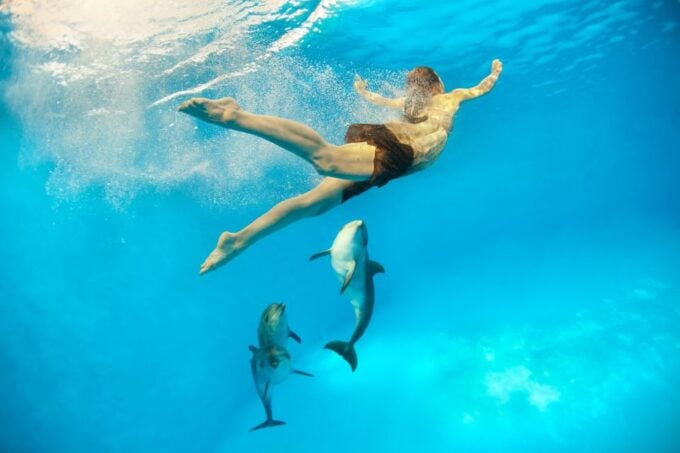 Makadi Bay: Dolphin Watching Boat Tour With Lunch & Drinks - Transportation and Pickup
