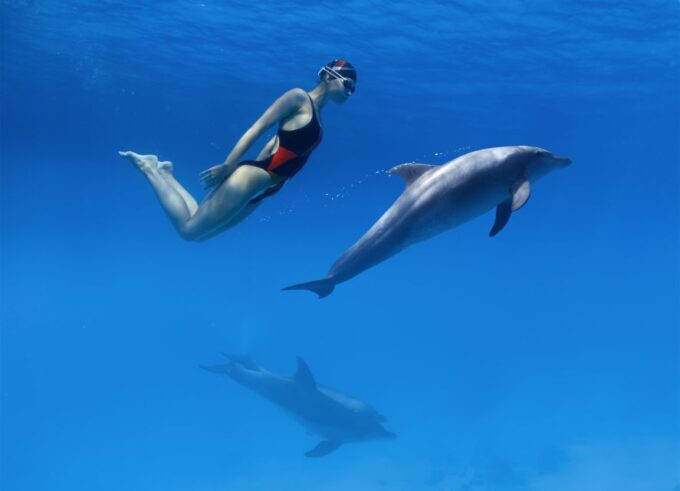 Makadi Bay: Dolphin Watching Boat Tour With Lunch & Drinks - Pickup Locations