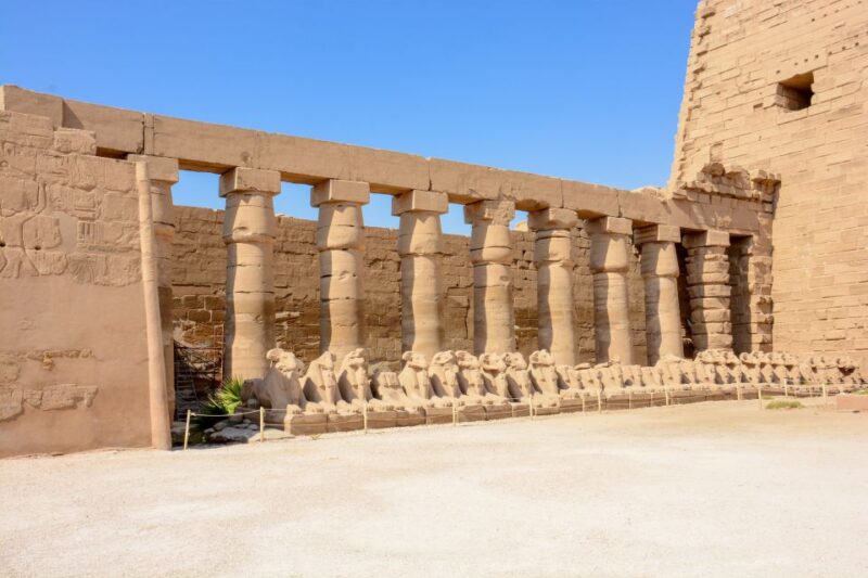 Makadi Bay: Luxor Private Tour Kings Valley and Hatshepsut. - Customer Feedback