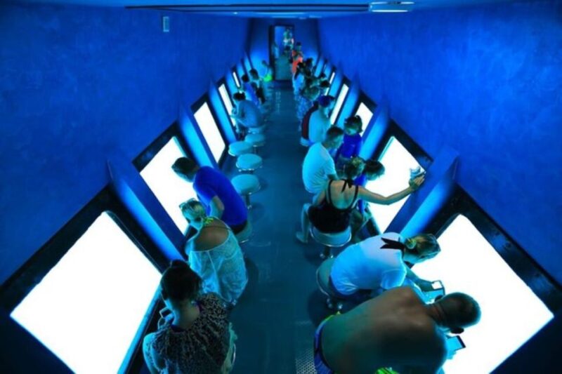 Makadi Bay: Sea Lion Submarine Trip With Snorkeling - Participant Suitability