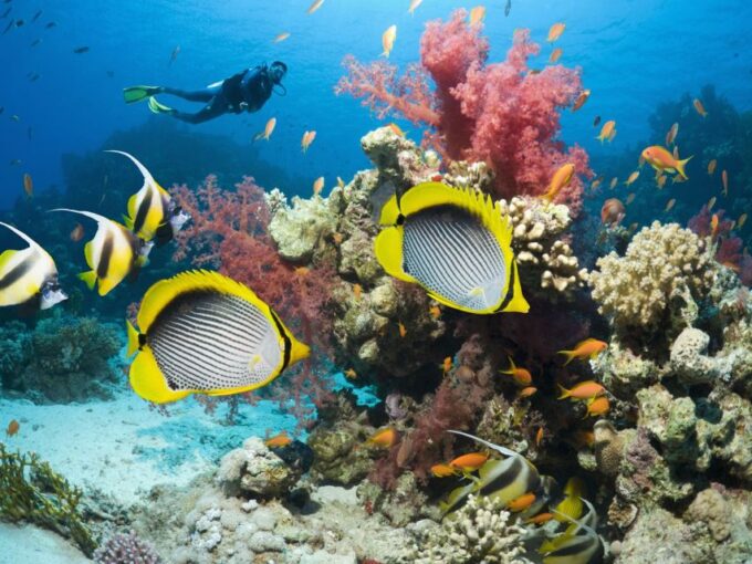 Makadi Bay: Snorkeling Yacht Trip, Water Sports & Lunch - Yacht Amenities and Activities