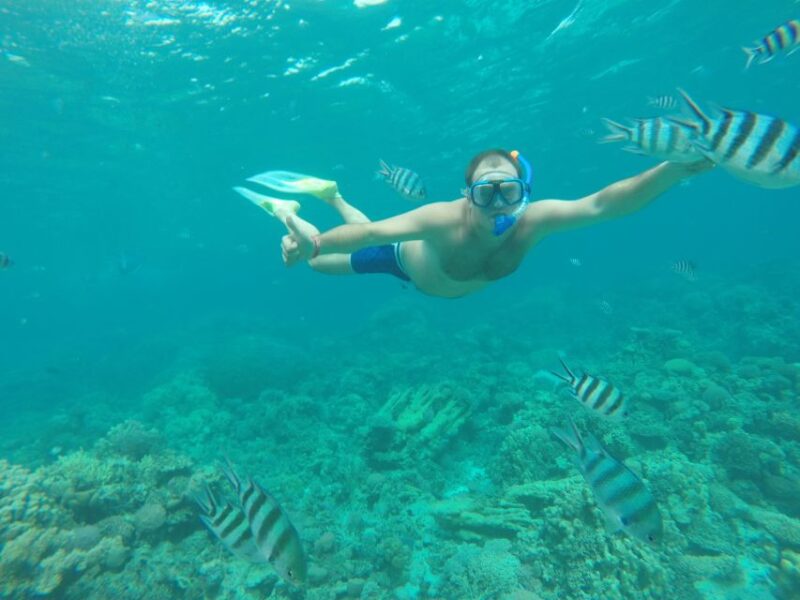 Makadi Bay: Snorkelling and Diving Island Trip - Experience Details