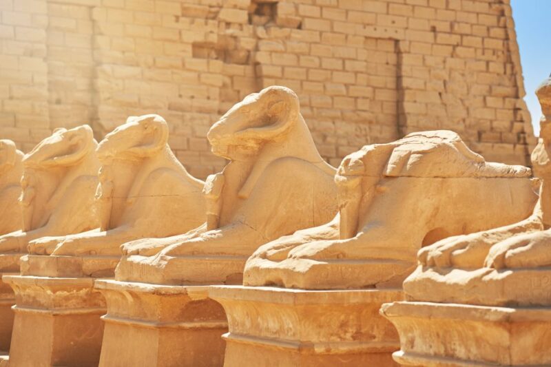 Makadi Bay: Trip to Luxor and Valley of the Kings With Lunch - Included Services